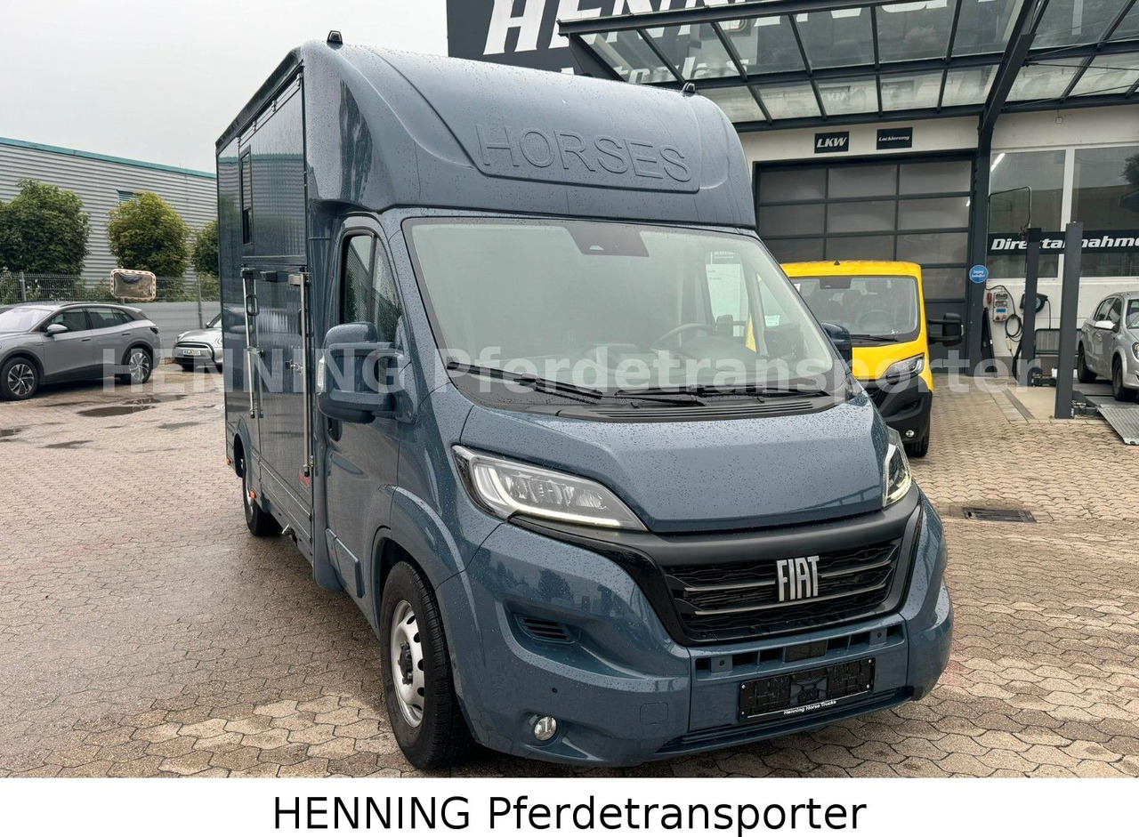 Fiat Ducato *AUTOMATIK* 3 - Sitzer - Грузовик для перевозки животных: фото 2 Fiat Ducato *AUTOMATIK* 3 - Sitzer - Грузовик для перевозки животных: фото 2