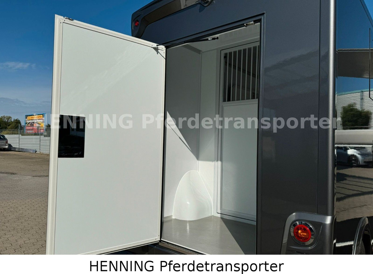 Грузовик для перевозки животных MAN TGE 3 - Sitzer *KLIMA PFERDEABTEIL*: фото 10