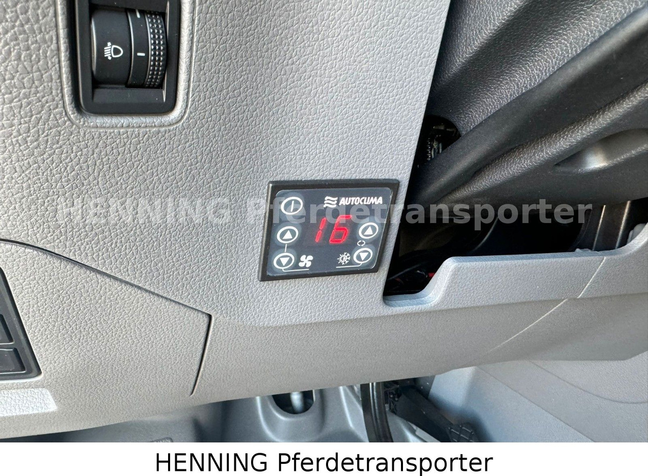 Грузовик для перевозки животных MAN TGE 3 - Sitzer *KLIMA PFERDEABTEIL*: фото 16