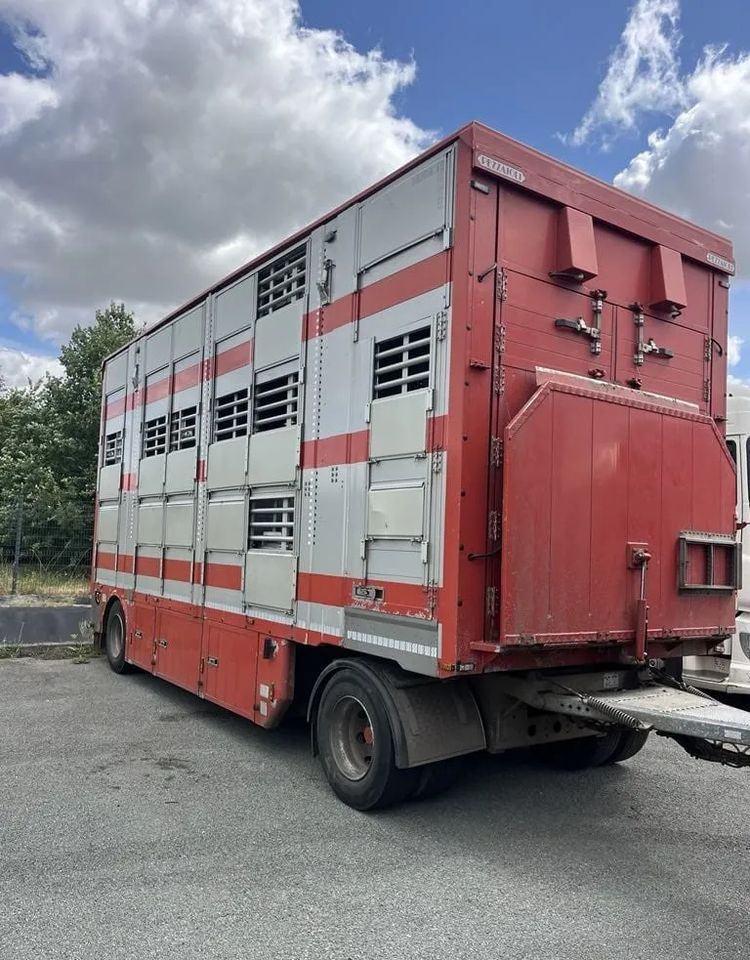 DAF XF 460 + Przyczepa Pezzaoli - 3X Trzoda, 2 X Bydło I 3 poziomy I Podnoszony dach I Hydroburta I Osie Skrętne I Poidła I Wentylatory I Pilot Manualny | Euro5 - Грузовик для перевозки животных: фото 3 DAF XF 460 + Przyczepa Pezzaoli - 3X Trzoda, 2 X Bydło I 3 poziomy I Podnoszony dach I Hydroburta I Osie Skrętne I Poidła I Wentylatory I Pilot Manualny | Euro5 - Грузовик для перевозки животных: фото 3