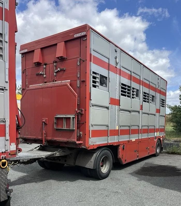 DAF XF 460 + Przyczepa Pezzaoli - 3X Trzoda, 2 X Bydło I 3 poziomy I Podnoszony dach I Hydroburta I Osie Skrętne I Poidła I Wentylatory I Pilot Manualny | Euro5 - Грузовик для перевозки животных: фото 4 DAF XF 460 + Przyczepa Pezzaoli - 3X Trzoda, 2 X Bydło I 3 poziomy I Podnoszony dach I Hydroburta I Osie Skrętne I Poidła I Wentylatory I Pilot Manualny | Euro5 - Грузовик для перевозки животных: фото 4