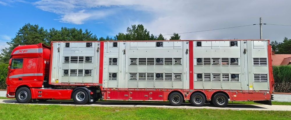 Pezzaioli SBA32/hydrauliczny dach/hydrauliczna rampa/ 3 poziomy/ 2xbydło -3xtrzoda/wentylatory/poidła/sterowanie pilotem - Полуприцеп для перевозки животных: фото 2 Pezzaioli SBA32/hydrauliczny dach/hydrauliczna rampa/ 3 poziomy/ 2xbydło -3xtrzoda/wentylatory/poidła/sterowanie pilotem - Полуприцеп для перевозки животных: фото 2