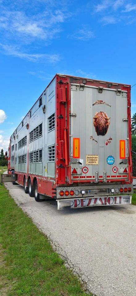 Pezzaioli SBA32/hydrauliczny dach/hydrauliczna rampa/ 3 poziomy/ 2xbydło -3xtrzoda/wentylatory/poidła/sterowanie pilotem - Полуприцеп для перевозки животных: фото 5 Pezzaioli SBA32/hydrauliczny dach/hydrauliczna rampa/ 3 poziomy/ 2xbydło -3xtrzoda/wentylatory/poidła/sterowanie pilotem - Полуприцеп для перевозки животных: фото 5