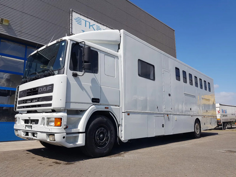 DAF 95.350 Paardenwagen met zitverblijf 7 paarden 7 horses - Коневоз: фото 1 DAF 95.350 Paardenwagen met zitverblijf 7 paarden 7 horses - Коневоз: фото 1
