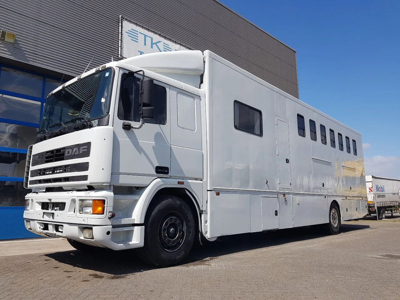 DAF 95.350 Paardenwagen met zitverblijf 7 paarden 7 horses - Коневоз: фото 1 DAF 95.350 Paardenwagen met zitverblijf 7 paarden 7 horses - Коневоз: фото 1