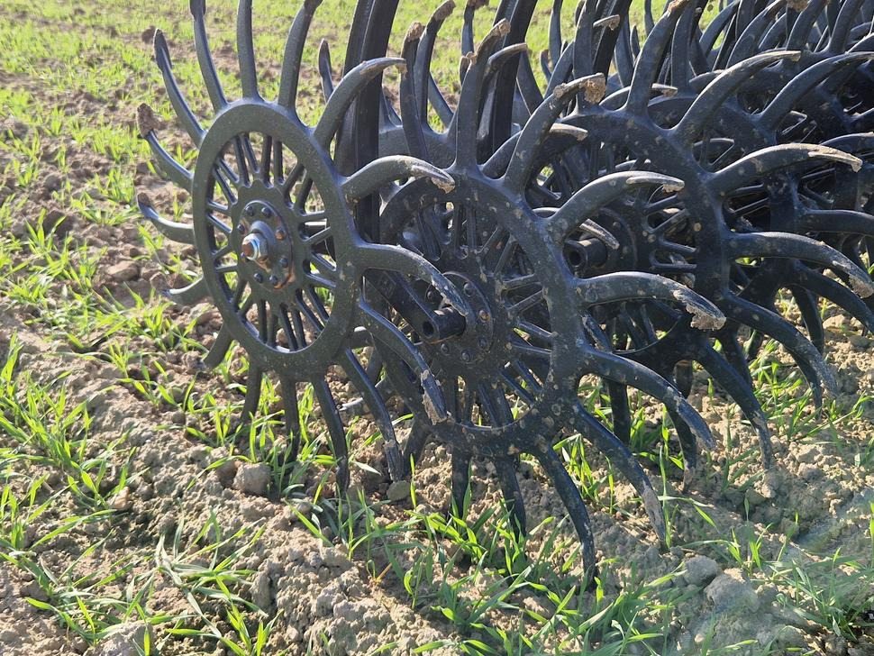 Namysło Rotorstriegel / Rotary hoe / Houe rotative / Ротационная борона / Brona wirnikowa / Pielnik 6,6 m - Культиватор: фото 4 Namysło Rotorstriegel / Rotary hoe / Houe rotative / Ротационная борона / Brona wirnikowa / Pielnik 6,6 m - Культиватор: фото 4