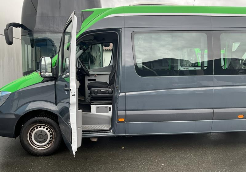Микроавтобус, Пассажирский фургон Mercedes-Benz Sprinter 314 Mobility: фото 8