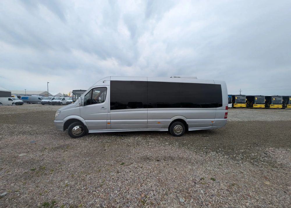 Микроавтобус, Пассажирский фургон Mercedes-Benz Sprinter 516: фото 7