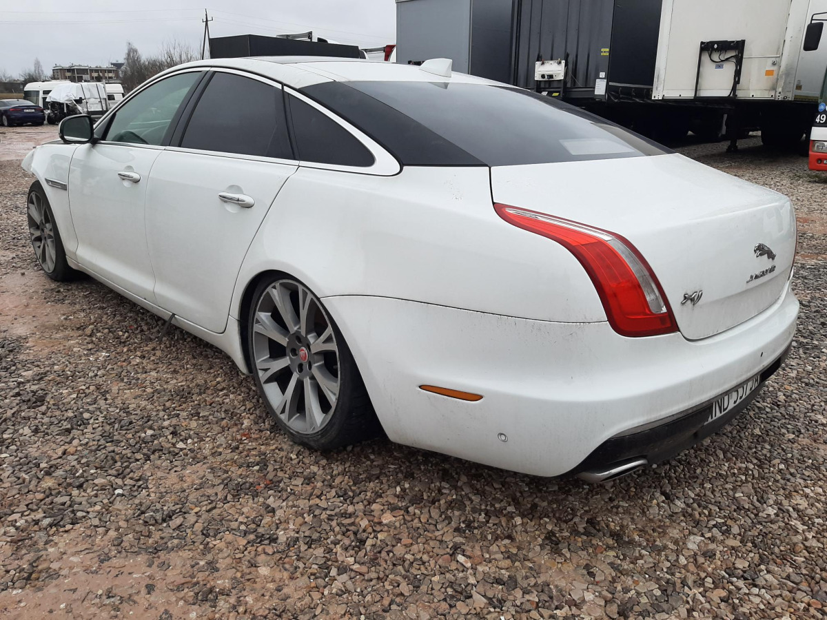 JAGUAR XJ SEDAN - Легковой автомобиль: фото 5 JAGUAR XJ SEDAN - Легковой автомобиль: фото 5