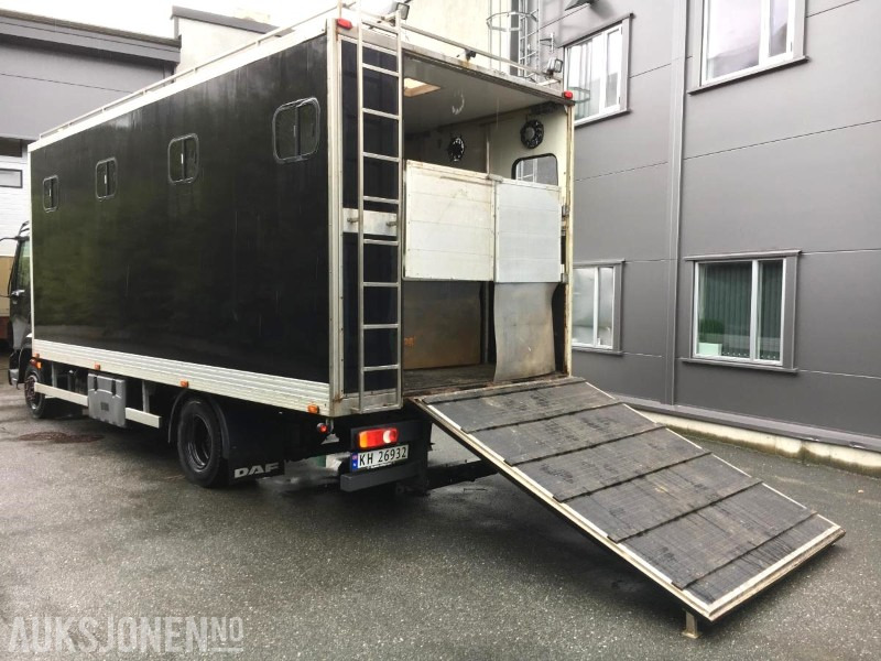 2004 DAF LF 45.220 - Hestebil / Transportbil, 202552km - Коммунальная/ Специальная техника: фото 2 2004 DAF LF 45.220 - Hestebil / Transportbil, 202552km - Коммунальная/ Специальная техника: фото 2