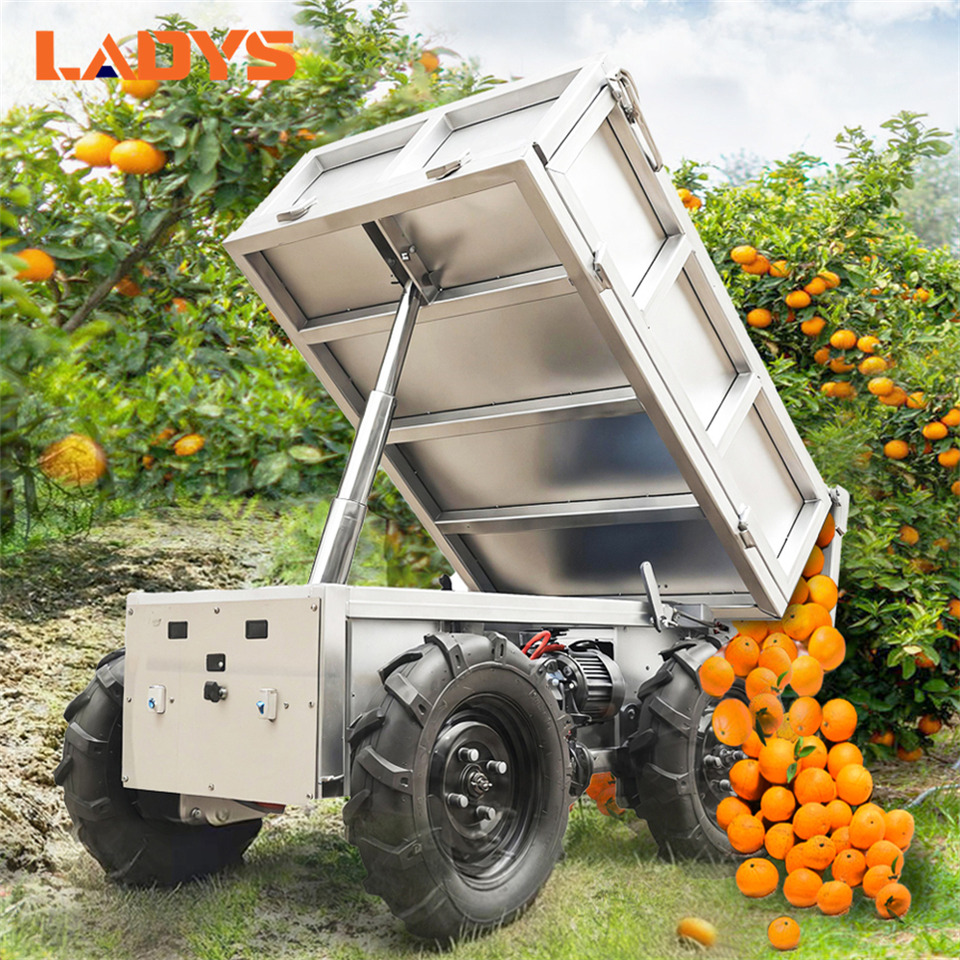 LADYS All-Terrain Four-Wheel Drive And Eight-Wheel Drive Transport Truck, Mountain Area Farm Orchard Greenhouse Construction Site Creeper Remote Control Electric Agricultural Transport Vehicle - Квадроцикл: фото 2 LADYS All-Terrain Four-Wheel Drive And Eight-Wheel Drive Transport Truck, Mountain Area Farm Orchard Greenhouse Construction Site Creeper Remote Control Electric Agricultural Transport Vehicle - Квадроцикл: фото 2