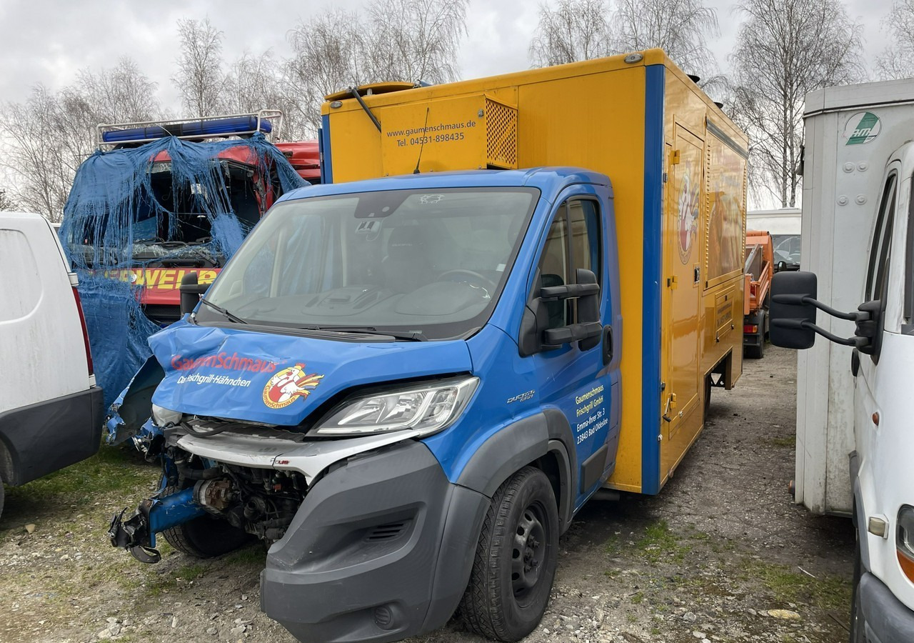 Fiat Ducato Ducato Autogrill Autosklep Foodtruck food truck Gastronomiczny 2018 - Торговый грузовик: фото 3 Fiat Ducato Ducato Autogrill Autosklep Foodtruck food truck Gastronomiczny 2018 - Торговый грузовик: фото 3