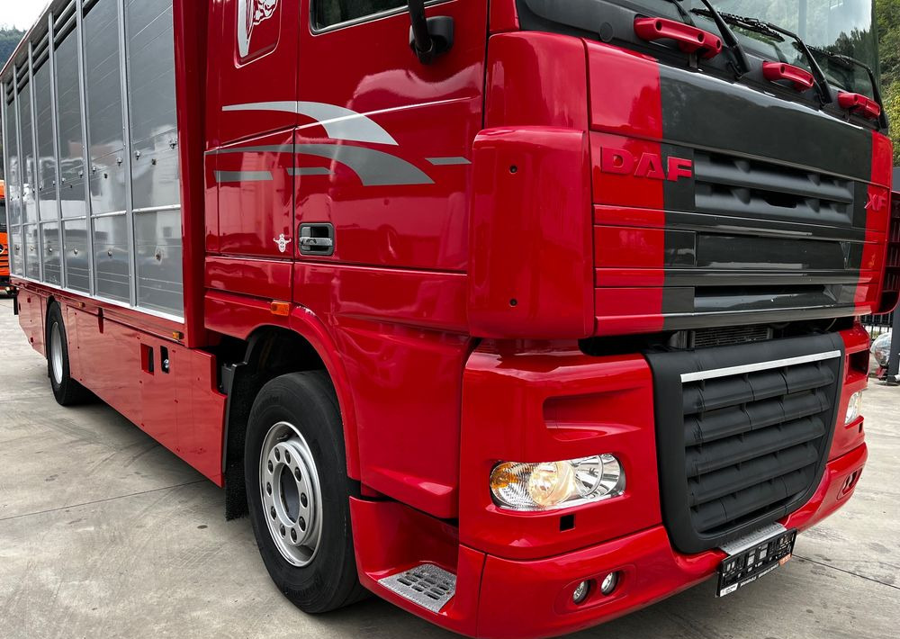 DAF XF 105.460 Euro 5 // Manual // Retarder // Do Żywca / Bydła / Zwierząt / - Грузовик для перевозки животных: фото 3 DAF XF 105.460 Euro 5 // Manual // Retarder // Do Żywca / Bydła / Zwierząt / - Грузовик для перевозки животных: фото 3