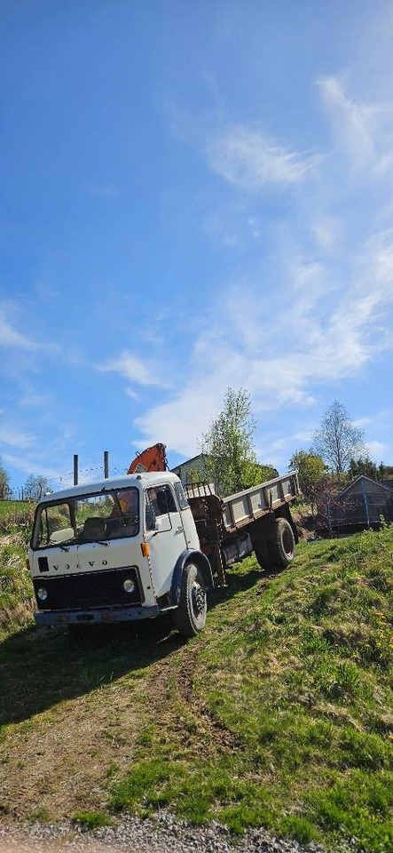 Volvo F 86 42 Hiab 550-2 - Автоманипулятор: фото 5 Volvo F 86 42 Hiab 550-2 - Автоманипулятор: фото 5
