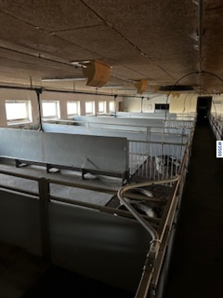 WEDG Pig House interior! - Инвентарь для животноводства: фото 3 WEDG Pig House interior! - Инвентарь для животноводства: фото 3