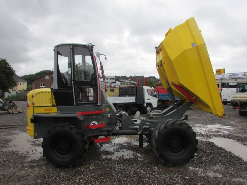 WACKER NEUSON DW 60 Dumper 32.500 EUR - Мини-самосвал: фото 5 WACKER NEUSON DW 60 Dumper 32.500 EUR - Мини-самосвал: фото 5