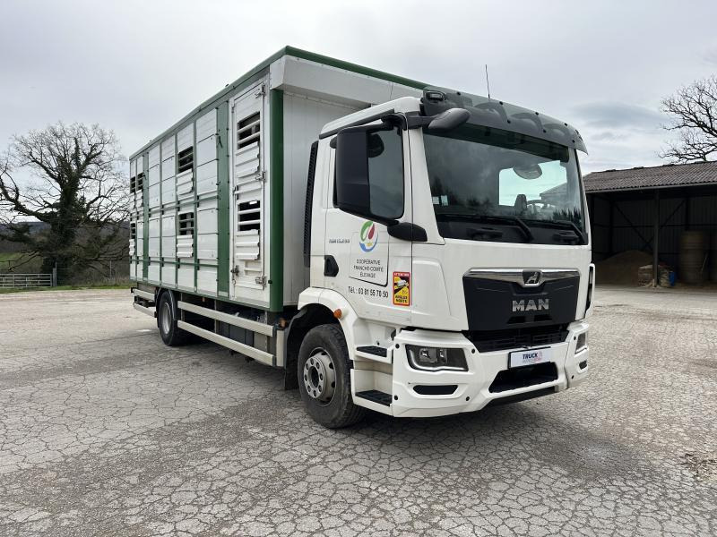 MAN M 90 15.290 TGM - Грузовик для перевозки животных: фото 2 MAN M 90 15.290 TGM - Грузовик для перевозки животных: фото 2