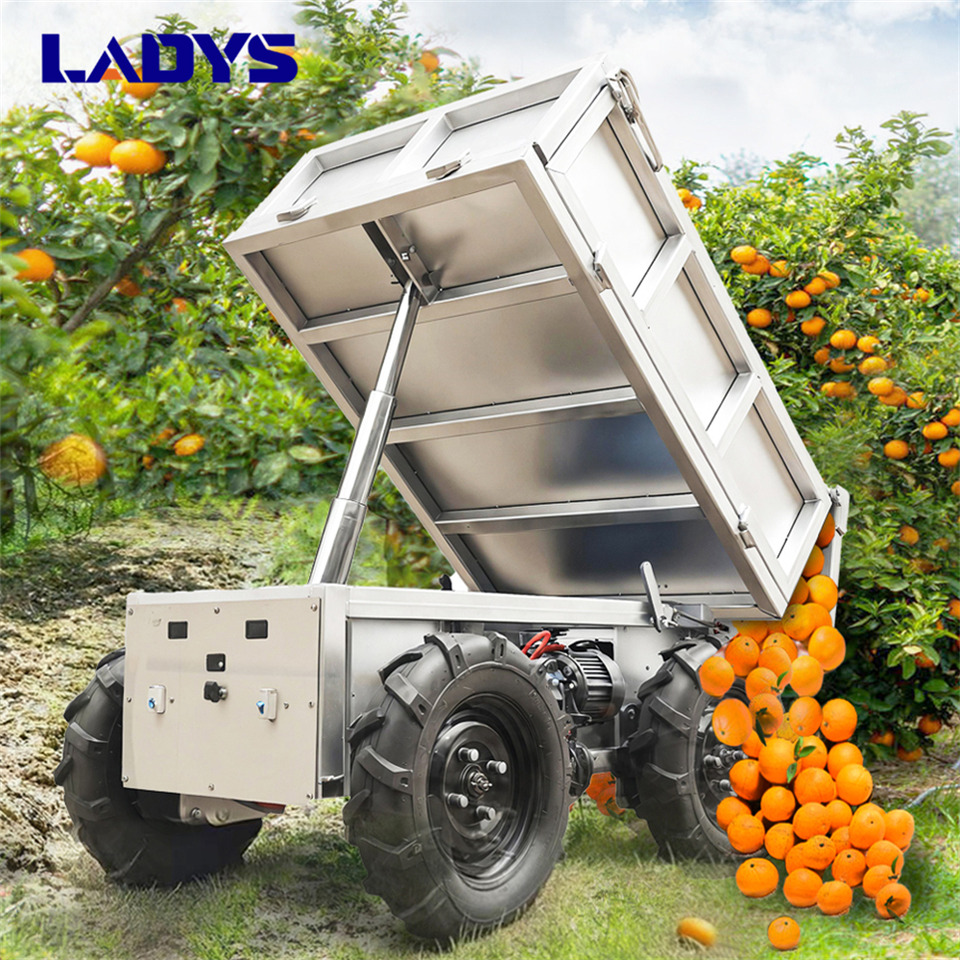 LADYS Electric Remote Control Transporter Agricultural Orchard Farm Electric Utv Dump Trailer Material Handling Equipment All Terrain Transport Vehicle - Квадроцикл: фото 5 LADYS Electric Remote Control Transporter Agricultural Orchard Farm Electric Utv Dump Trailer Material Handling Equipment All Terrain Transport Vehicle - Квадроцикл: фото 5