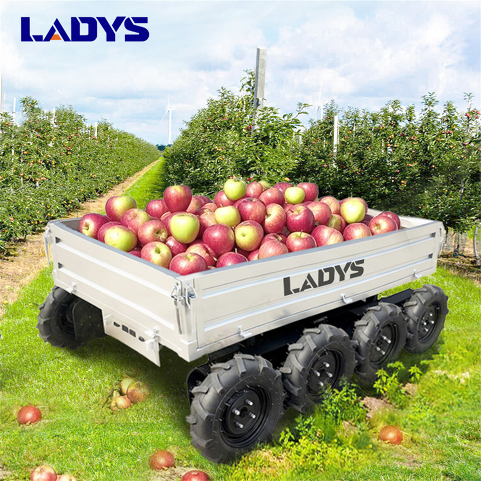 Новый Сельскохозяйственный прицеп-самосвал LADYS Electric Remote Control Transporter Agricultural Orchard Farm Electric Utv Dump Trailer Material Handling Equipment All Terrain Transport Vehicle: фото 11