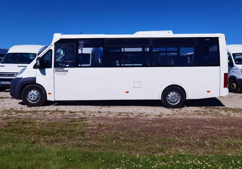 Fiat Ducato miejski, przewóz osób niepełnosprawnych - Микроавтобус, Пассажирский фургон: фото 5 Fiat Ducato miejski, przewóz osób niepełnosprawnych - Микроавтобус, Пассажирский фургон: фото 5
