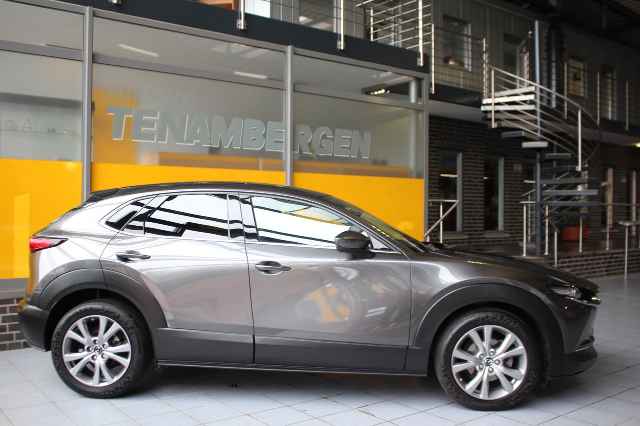 Mazda CX-30 Selection 2WD Matrix Bose HuD Navi SR + WR - Внедорожник: фото 3 Mazda CX-30 Selection 2WD Matrix Bose HuD Navi SR + WR - Внедорожник: фото 3