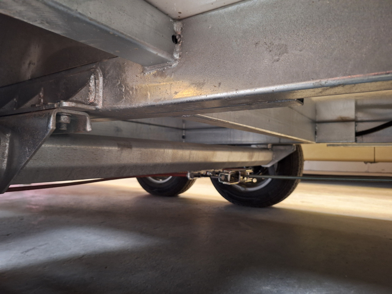 Deli Star Trailer 6000 Flower & General Sales - EU Standards - Торговый прицеп: фото 5 Deli Star Trailer 6000 Flower & General Sales - EU Standards - Торговый прицеп: фото 5