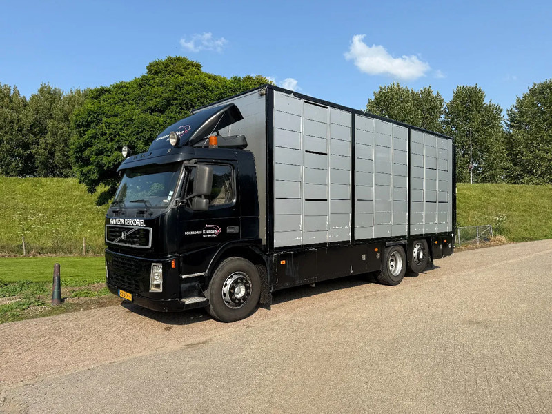Volvo FM 300 Livestock Cuppers 3 laags 6x2 - Грузовик для перевозки животных: фото 3 Volvo FM 300 Livestock Cuppers 3 laags 6x2 - Грузовик для перевозки животных: фото 3