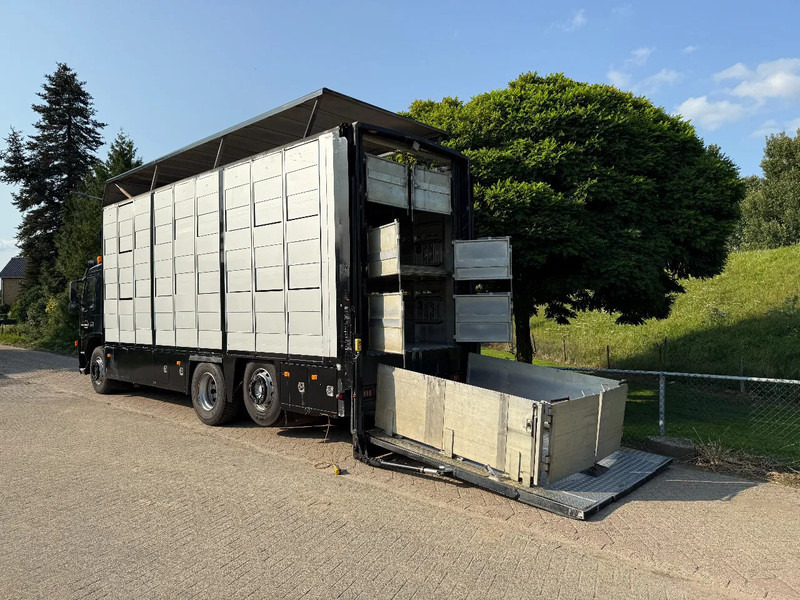 Volvo FM 300 Livestock Cuppers 3 laags 6x2 - Грузовик для перевозки животных: фото 2 Volvo FM 300 Livestock Cuppers 3 laags 6x2 - Грузовик для перевозки животных: фото 2
