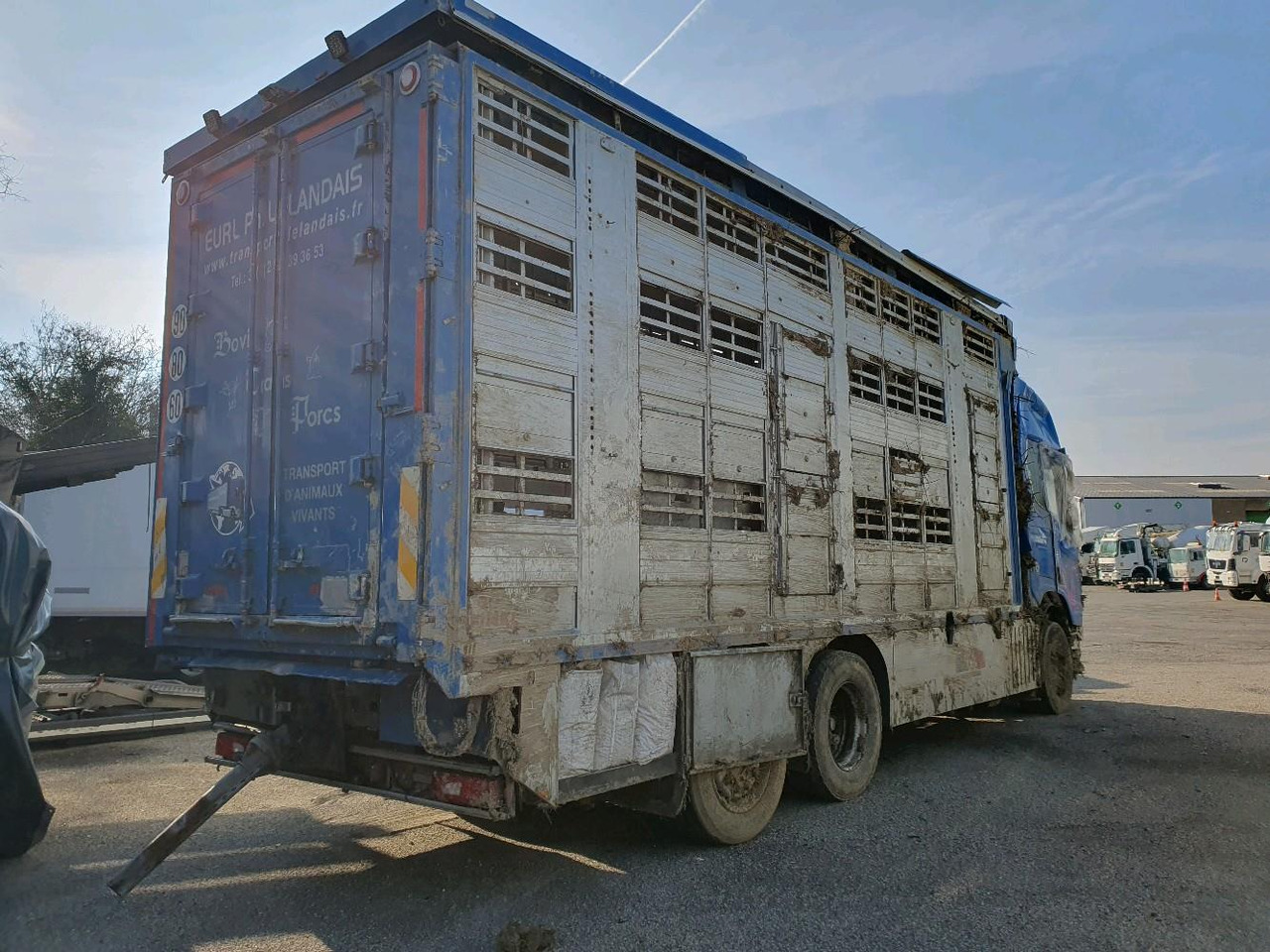 SCANIA R580 - Грузовик для перевозки животных: фото 4 SCANIA R580 - Грузовик для перевозки животных: фото 4