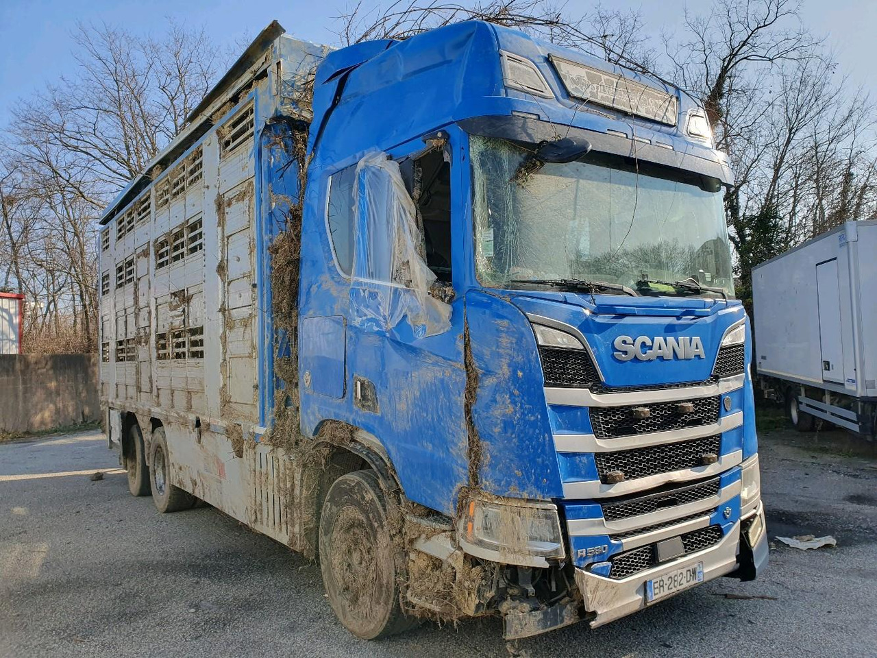 SCANIA R580 - Грузовик для перевозки животных: фото 1 SCANIA R580 - Грузовик для перевозки животных: фото 1