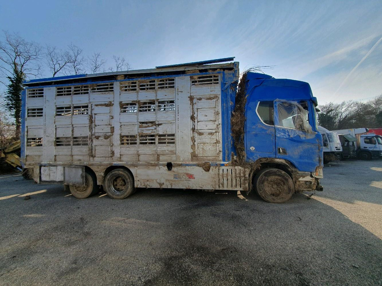 SCANIA R580 - Грузовик для перевозки животных: фото 3 SCANIA R580 - Грузовик для перевозки животных: фото 3