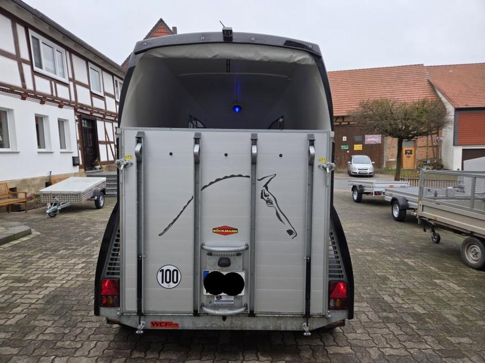 Böckmann Pferdeanhänger Champion R SaKa. WCF-Fahrwerk 100 km/h - Прицеп-коневоз: фото 3 Böckmann Pferdeanhänger Champion R SaKa. WCF-Fahrwerk 100 km/h - Прицеп-коневоз: фото 3