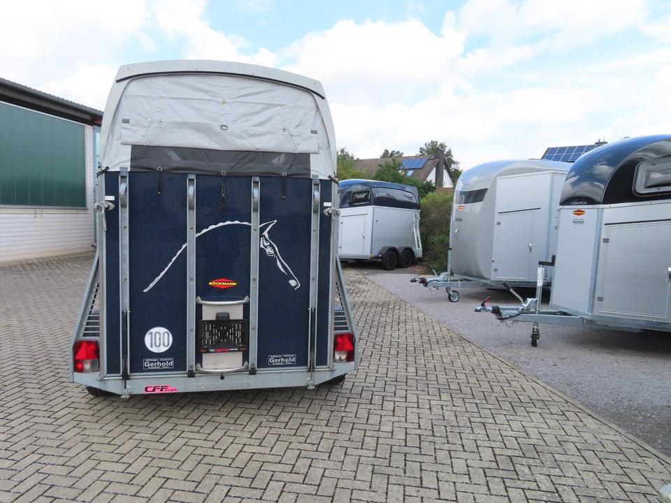 Прицеп-коневоз Böckmann, Pferdeanhänger, Comfort, CFF,Aluboden, SaKa, 100 km/h: фото 13