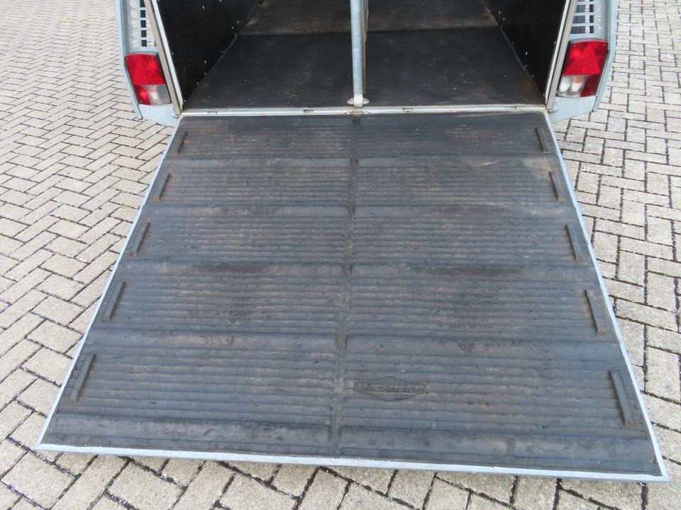 Прицеп-коневоз Böckmann, Pferdeanhänger, Comfort, CFF,Aluboden, SaKa, 100 km/h: фото 10