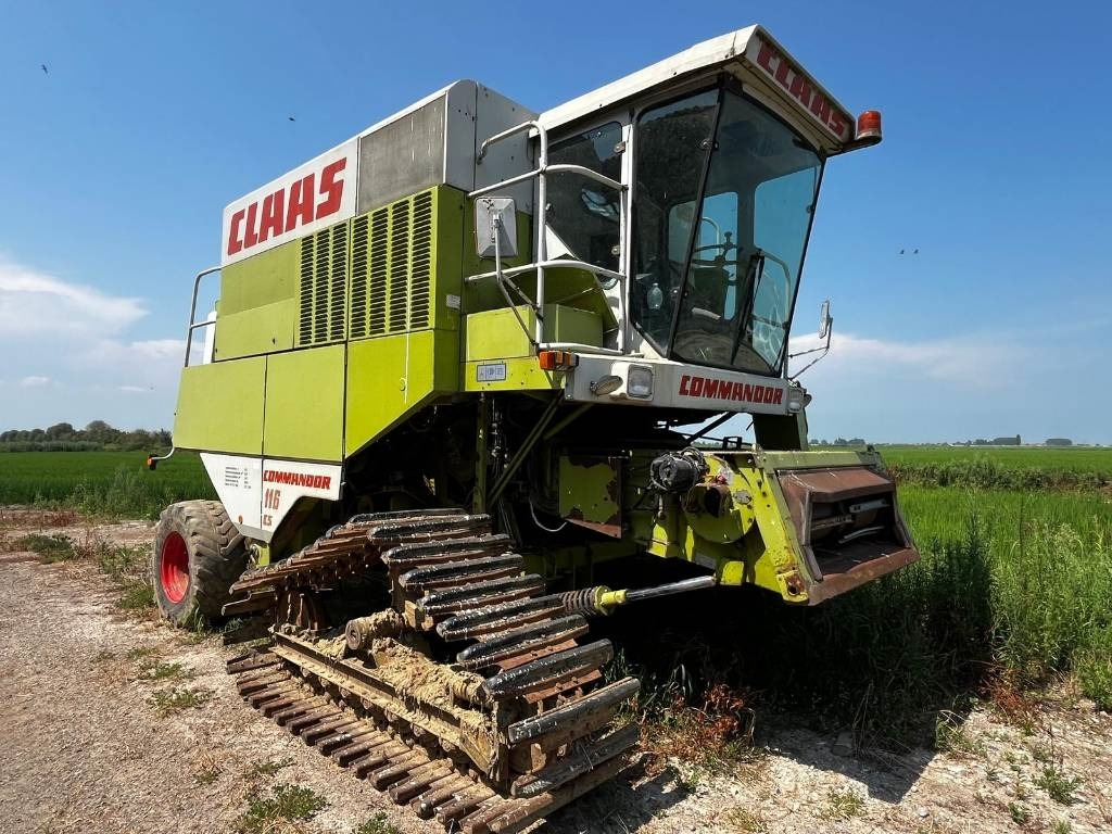 Claas COMMANDOR 116 CS RISO - Зерноуборочный комбайн: фото 1 Claas COMMANDOR 116 CS RISO - Зерноуборочный комбайн: фото 1