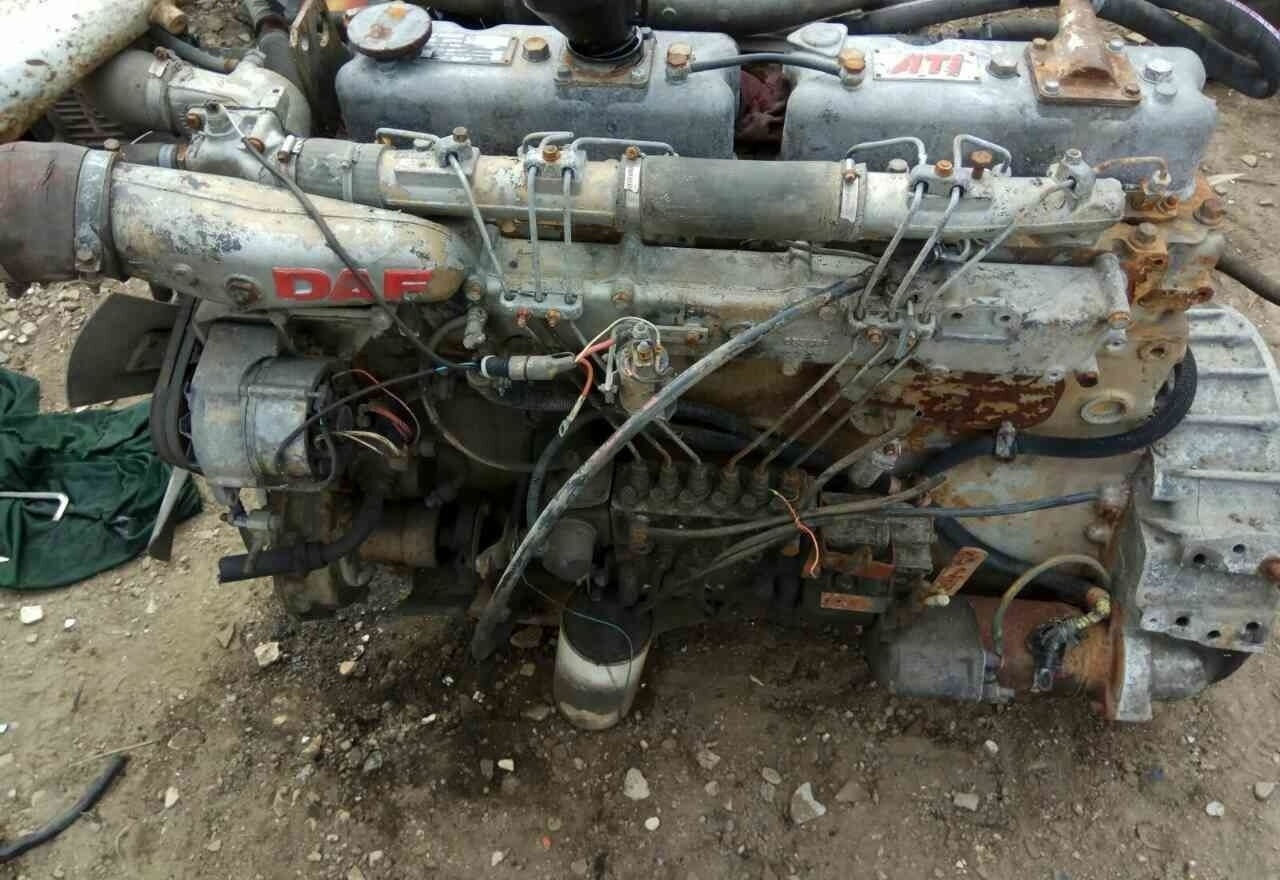 DAF ATI WS259 E2 DAF - Двигатель для Грузовиков: фото 1 DAF ATI WS259 E2 DAF - Двигатель для Грузовиков: фото 1