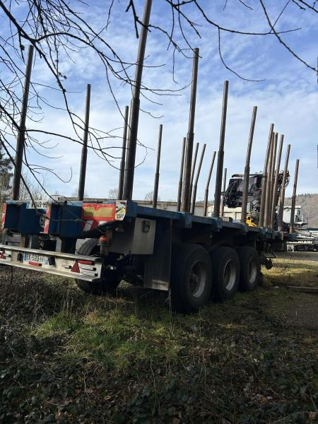 Diebolt grue avec grappin rotatif - Полуприцеп лесовоз: фото 4 Diebolt grue avec grappin rotatif - Полуприцеп лесовоз: фото 4