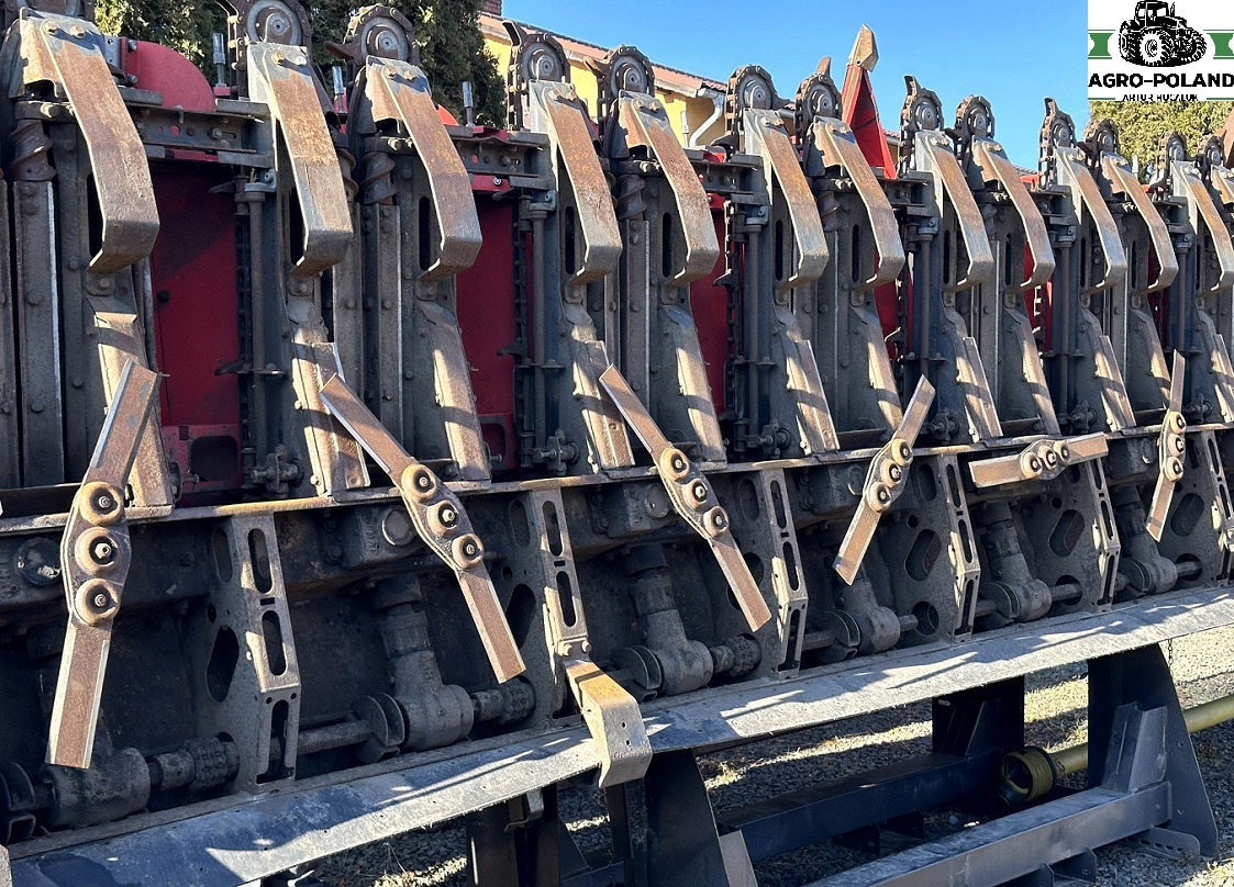 OLIMAC DRAGO 2 - S 8 TR - 8X70 - 2017 ROK - Жатка кукурузная: фото 4 OLIMAC DRAGO 2 - S 8 TR - 8X70 - 2017 ROK - Жатка кукурузная: фото 4