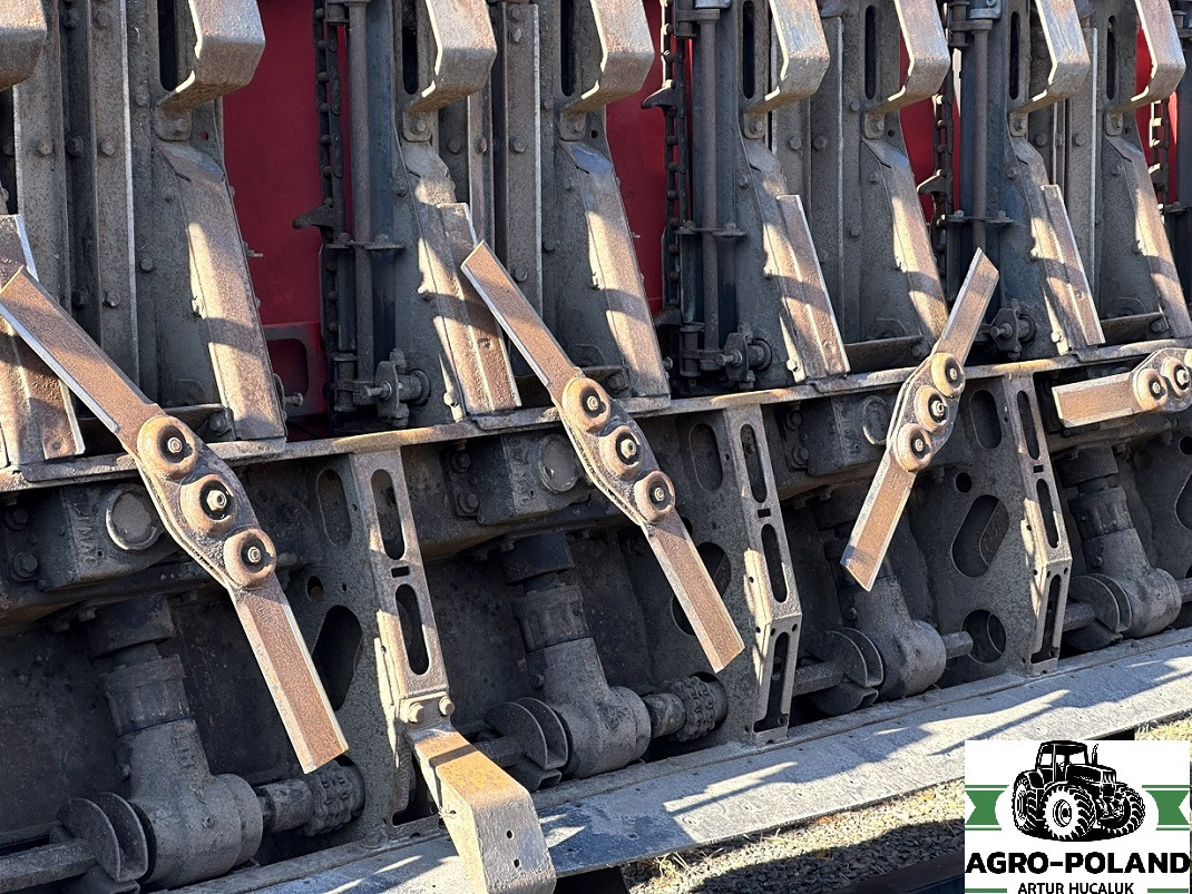 OLIMAC DRAGO 2 - S 8 TR - 8X70 - 2017 ROK - Жатка кукурузная: фото 5 OLIMAC DRAGO 2 - S 8 TR - 8X70 - 2017 ROK - Жатка кукурузная: фото 5