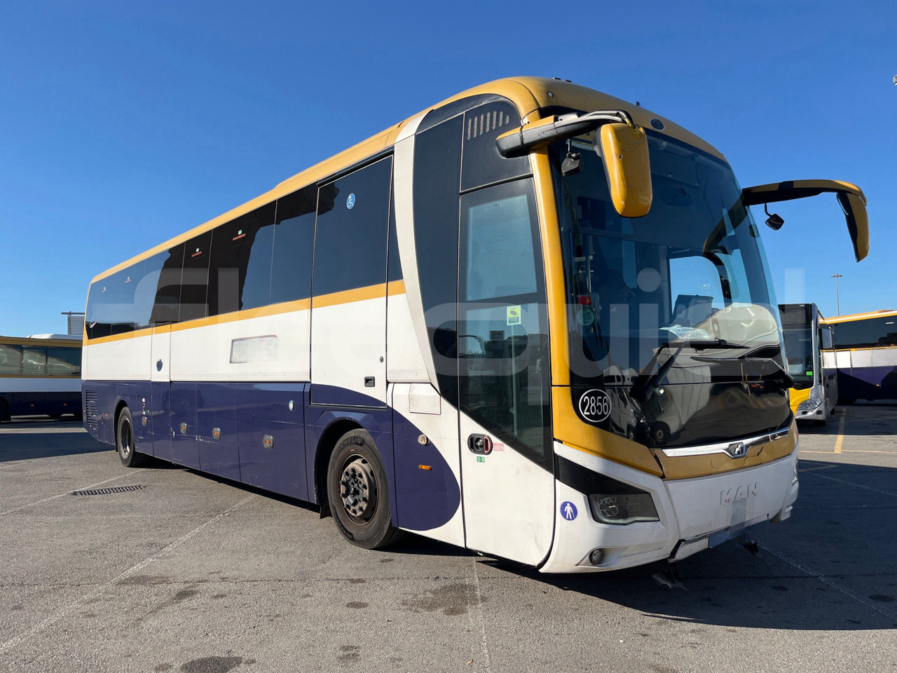 Man Lion's Coach - Туристический автобус: фото 1 Man Lion's Coach - Туристический автобус: фото 1