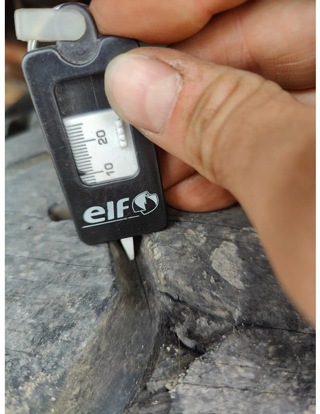 Крюковой мультилифт Steyr 19S31 19S32 Container Marrel: фото 17