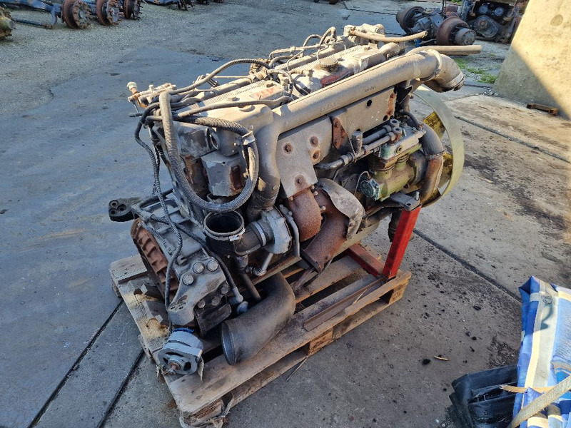 DAF 865 RS200L - Двигатель: фото 3 DAF 865 RS200L - Двигатель: фото 3