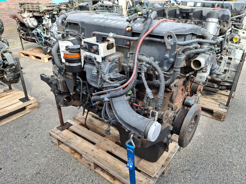 Iveco F3AE3681D ( CURSOR10 ) - Двигатель: фото 1 Iveco F3AE3681D ( CURSOR10 ) - Двигатель: фото 1