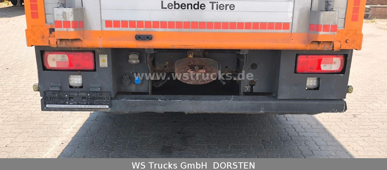 Коневоз DAF CF 400 Menke Einstock Viehtransporter: фото 7
