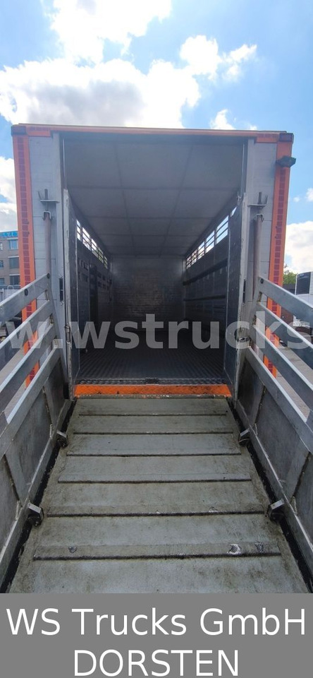 Коневоз DAF CF 400 Menke Einstock Viehtransporter: фото 10