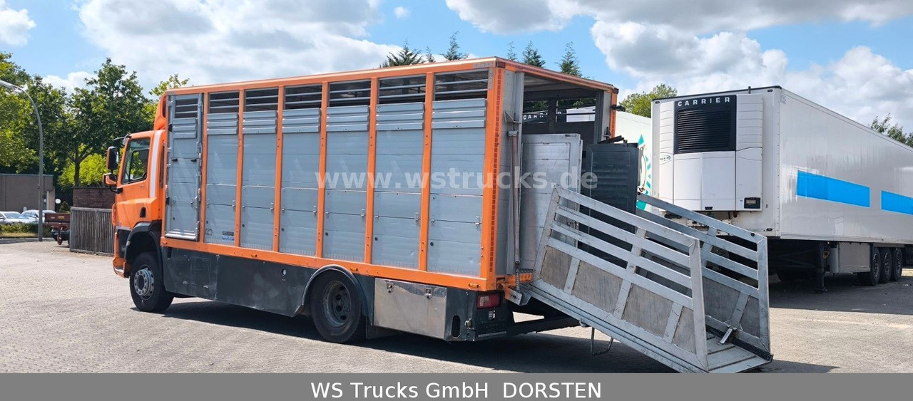 Коневоз DAF CF 400 Menke Einstock Viehtransporter: фото 8