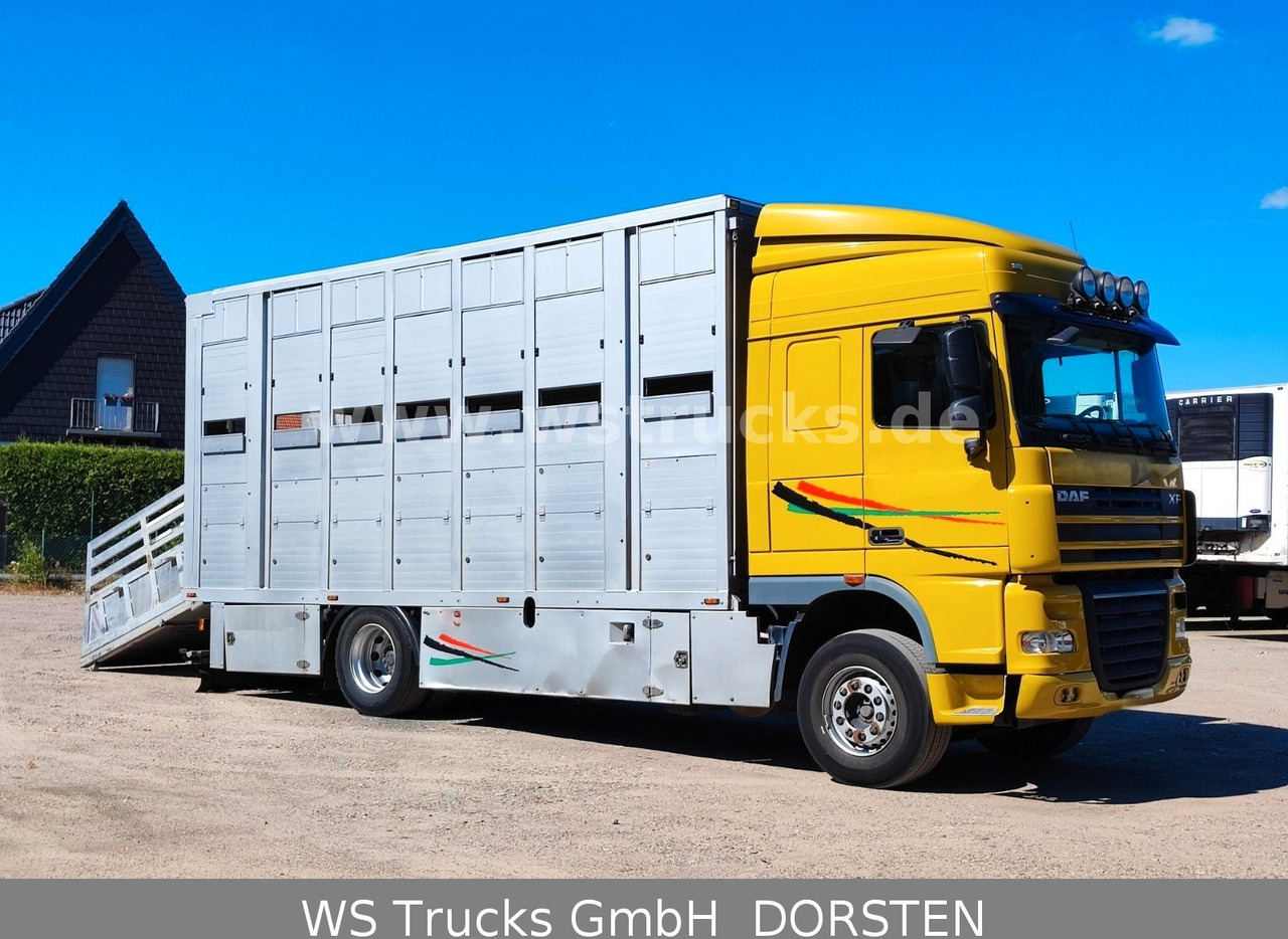 DAF XF 410 SC Menke Doppelstock - Коневоз: фото 5 DAF XF 410 SC Menke Doppelstock - Коневоз: фото 5