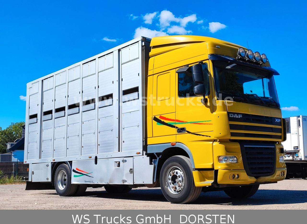 DAF XF 410 SC Menke Doppelstock - Коневоз: фото 2 DAF XF 410 SC Menke Doppelstock - Коневоз: фото 2
