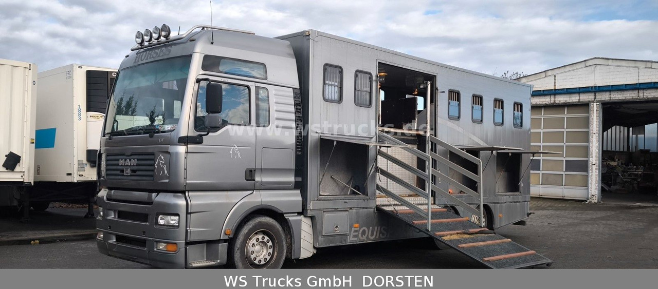 Новый Коневоз MAN TGA 26.480 FG   6x2 Pferdetransporter Luft/Luft: фото 10