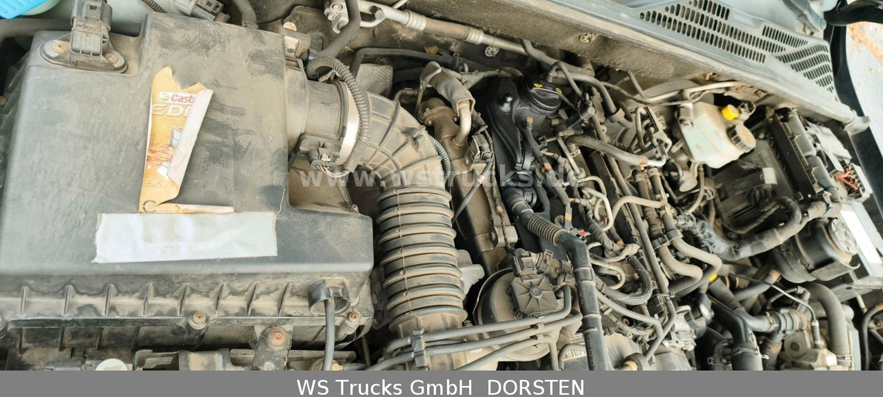 Внедорожник Volkswagen Amarok Trendline DoubleCab 4Motion: фото 21